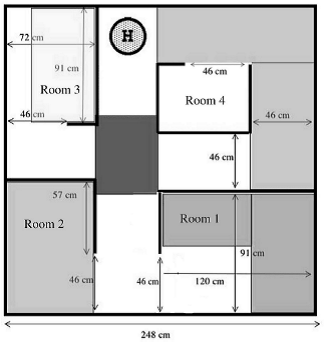 image3 image3