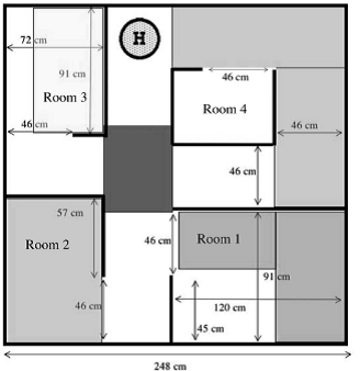 image4 image4
