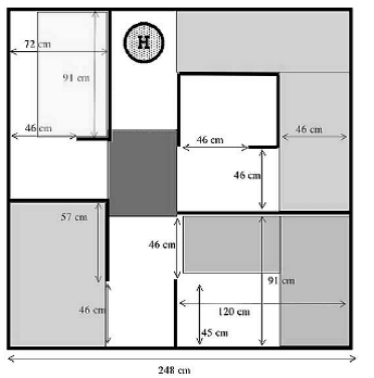 image6 image6